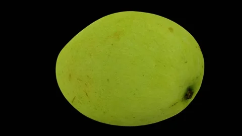 Rotating White Apple Mango on Black Background (Looping) Stock Footage 146816293