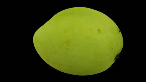 Rotating White Apple Mango on Black Background (Looping) Stock Footage 146816642