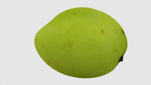 Rotating White Apple Mango on Transparent Background (Looping) Stock Footage 146816626