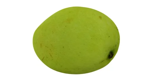 Rotating White Apple Mango on White Background (Looping) Stock Footage 146816326