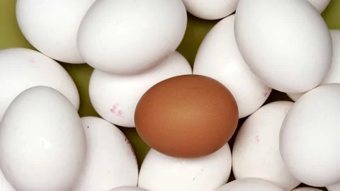 Rotating White Chicken Eggs With One Brown Egg On A Green Plate. Top View. Close Stock Footage 163466184