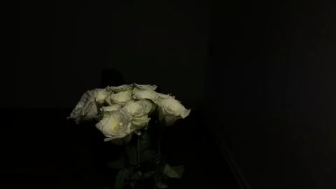 Rotating white roses on a black background. Bouquet of white roses on dark Video stock 280436776