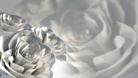 Rotating white roses, wedding theme - 3D render. seamless loop Video stock 72719309