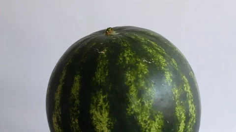 Rotating whole round watermelon on a light background Stock Footage 158976272