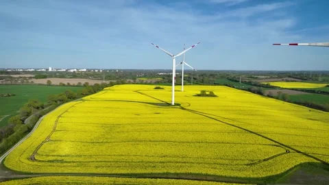 Rotating wind turbines stand of the rapeseed field. Stock Footage 266402687