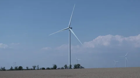 Rotating wind turbines in a wheat field against a blue sky and green plantin Stock-Footage 246079560