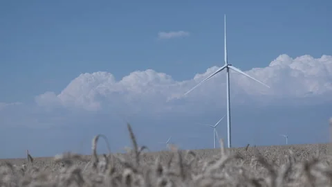 Rotating wind turbines in a wheat field Stock-Footage 246084397