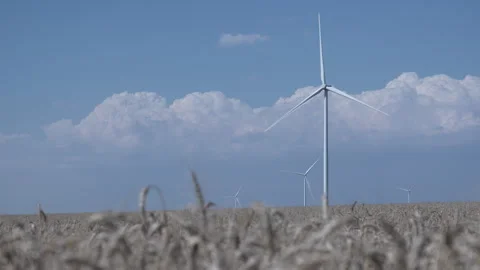 Rotating windmills in a wheat field Stock-Footage 246085373