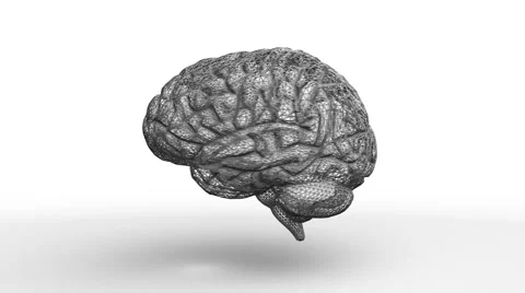 	Rotating Wireframe Brain Stock Footage 976397