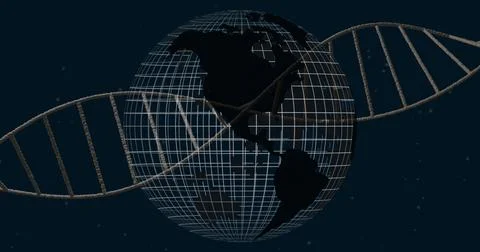 Rotating wireframe globe wrapping around twisting DNA double helix in space Stockillustratie