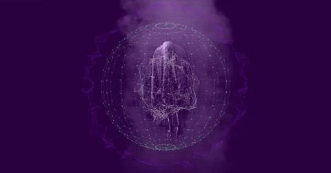 Rotating wireframe humanoid figure floating inside virtual sphere, with teal Stock Photos