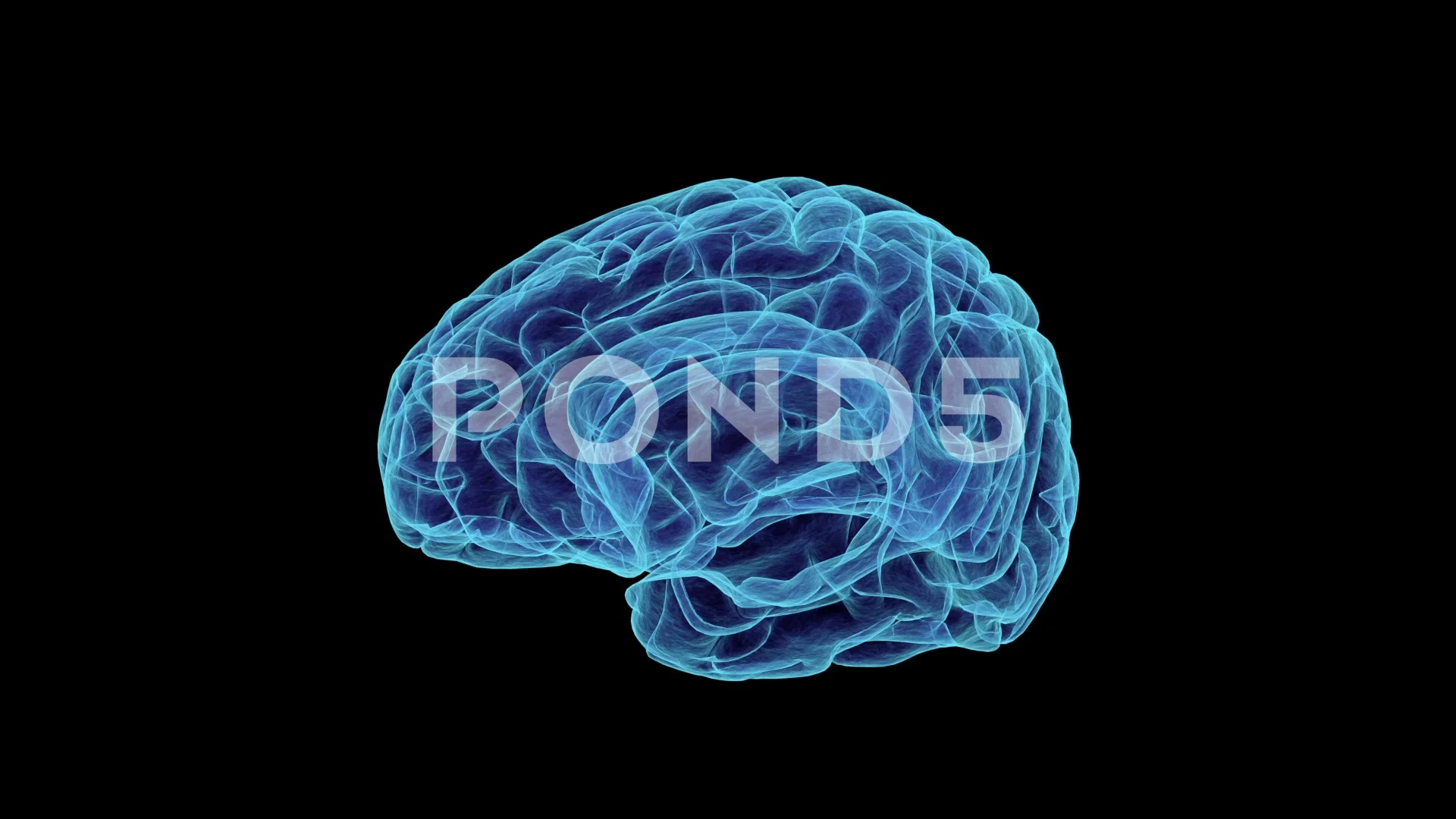 Rotating X Ray human brain. 3d sphere se... | Stock Video | Pond5