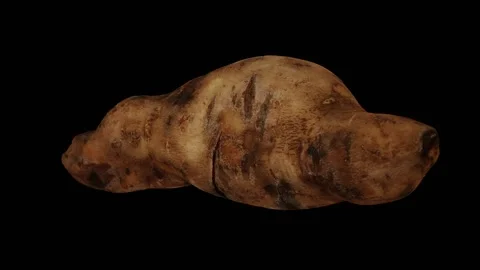 Rotating Yacon on Black Background (Looping) Stock Footage 149347839