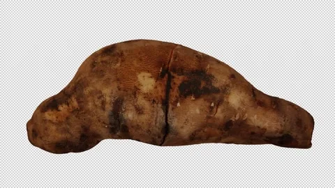 Rotating Yacon on Transparent Background (Looping with Alpha Channel) Stock Footage 149347634