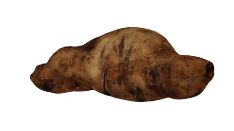 Rotating Yacon on White Background (Looping) Stock Footage 149347886