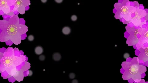 Rotating Yaezakura frame. Cherry blossoms at night. Stock Footage 314299779