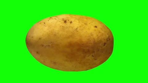 Rotating Yellow Mango on Green Background Stock Footage 79476032