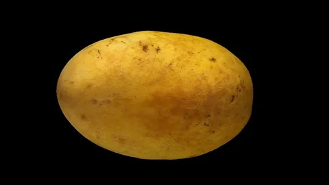 Rotating Yellow Mango on Transparent Background  (Alpha Channel) Stock Footage 80812066