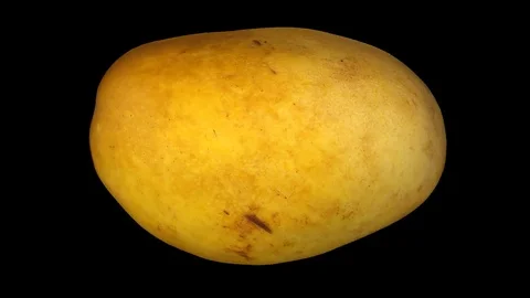 Rotating Yellow Mango on Transparent Background (Alpha Channel) Stock Footage 80813679