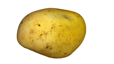 Rotating Yellow Mango on White Background Stock Footage 79429020