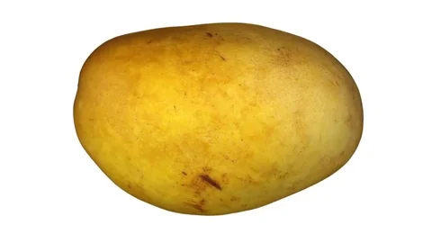 Rotating Yellow Mango on White Background Stock Footage 79476092