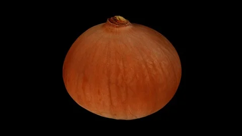 Rotating Yellow Onion on Black Background (Looping) Stock Footage 93378290