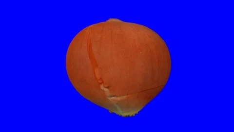 Rotating Yellow Onion on Blue Background Stock Footage 92250968