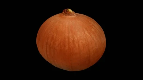 Rotating Yellow Onion on Transparent Background (Looping with Alpha Channel) Stock Footage 93329101