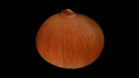 Rotating Yellow Onion on Transparent Background (Looping with Alpha Channel) Stock Footage 93329253