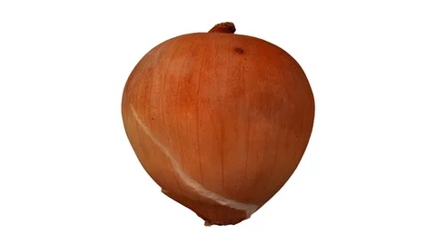 Rotating Yellow Onion on White Background Stock Footage 92253929