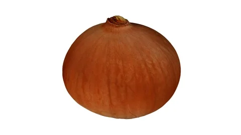 Rotating Yellow Onion on White Background (Looping) Stock Footage 93378328