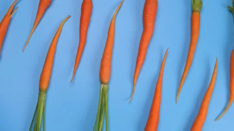 Rotating young carrot on blue background, healthy food concept loop, trendy Stock Footage 197677123
