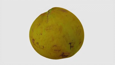 Rotating Young Green Coconut on Transparent Background (Looping ) Stock Footage 146878612