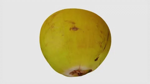 Rotating Young Green Coconut on Transparent Background (Looping) Stock Footage 149279528