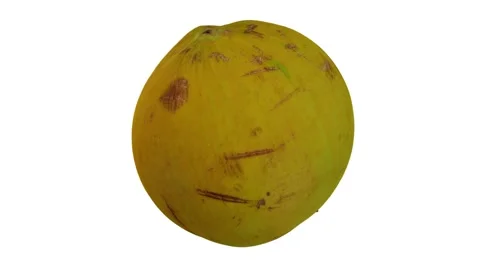 Rotating Young Green Coconut on White Background (Looping) Stock Footage 149279730