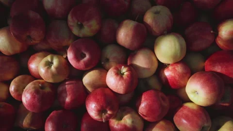 Rotating zoom out full of apples 스톡 동영상 135104375