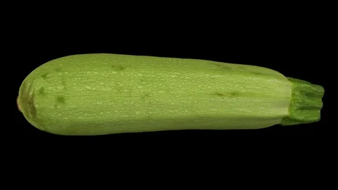 Rotating Zucchini on Black Background Stock Footage 79551634