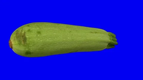 Rotating Zucchini on Blue Background Stock Footage 79551611