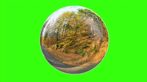 Rotation of abstract sphere spherical lens with reflection of autumn forest o Stock Footage 289732302