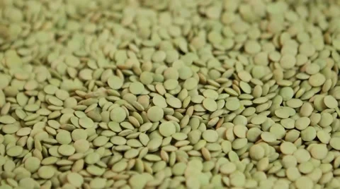 Rotation and Fall of a Brown Lentil Stock-Footage 66479666