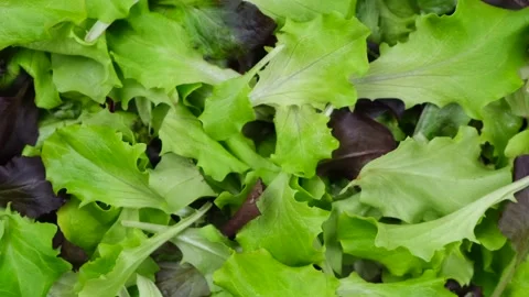 Rotation background of lettuce leaves or other greens,healthy food concept Stock Footage 246796452