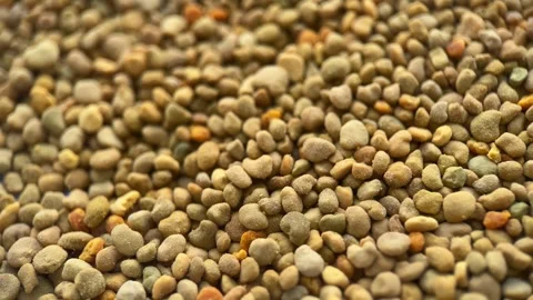 Rotation Bee Pollen Background Stock Footage 243523822