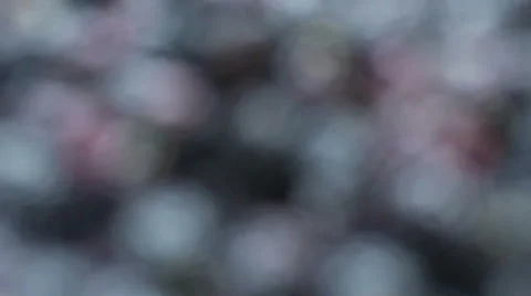 Rotation Bokeh Background Stock Footage 64531264