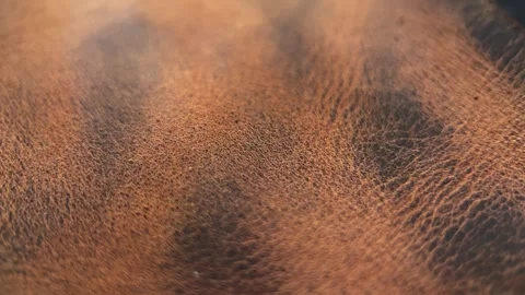 Rotation Brown Leather Texture Stock Footage 263073501