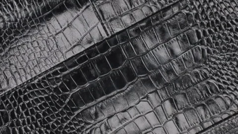 Rotation, close-up of the structure of natural crocodile skin. Stock Footage 95744958
