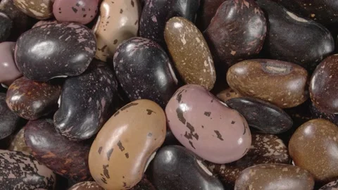 Rotation of colored beans legume close up. Organic legumes. Stock Footage 143786942