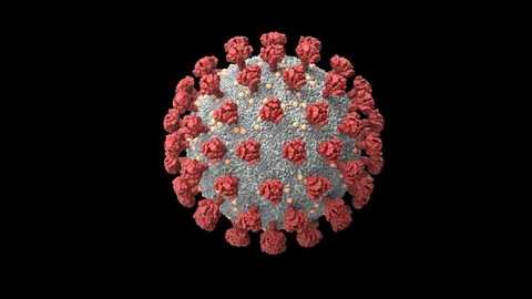 Rotation of a coronavirus Stock Footage 128707216