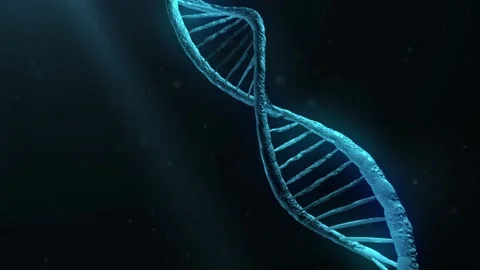 The rotation of the DNA molecule in 3d space with beautiful highlights on the Vídeo Stock 122158736