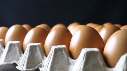 Rotation of the egg tray viewed from the side Stock Footage 160548551