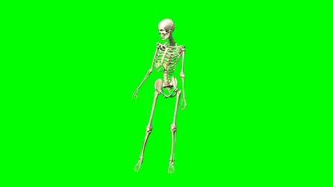Rotation of a female skeleton Stock Footage 114310178